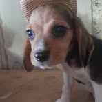 Nicolasa Ramirez - Facebook