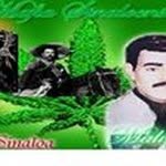 Nicolasa Ramirez Salasar - @nicolasaramirezsalasar - Instagram