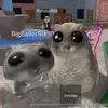 Nicole - @nicole.alejandro20 - TikTok