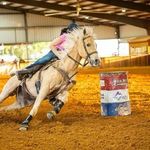 Nicole altieri - @na_.barrelhorses - Instagram