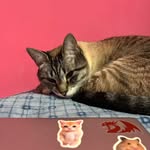 Nicole Alvarado - @nicolealvarado01 - Instagram