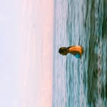 Nicole Alvarado 💫 - @_.nicole._.alvarado._ - Instagram