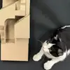 nicole.arch - @nicole.arch - TikTok
