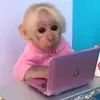 nicole arendt - @nicole_arendt - TikTok