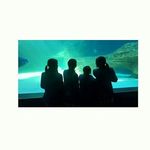. - @nicole.arendse_ - Instagram