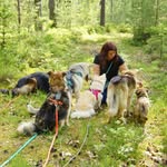 Nicole Arps - @hundetraining_nicole_arps - Instagram