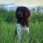 Nicole Auer - @niciau2 - Instagram