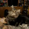 nicoleavery715 - @nicoleavery715 - TikTok