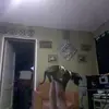 Hailey - @nicolebarela4 - TikTok