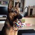 Nicole Bäumer - Facebook