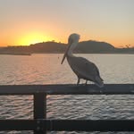Nicolebaylor - @nicolebaylor9 - Instagram