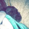 nicole bedwell - @user1044216007296 - TikTok