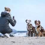 Nicole Behling - @nicolebehlingfotografie - Instagram