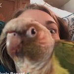 Nicole Benard - @nicoccopuffs - Instagram
