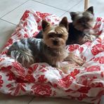 Nicole Berard - Facebook