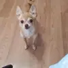 Nicole Berard - @nicole.berard0 - TikTok