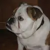 nicoleberard815 - @nicoleberard815 - TikTok