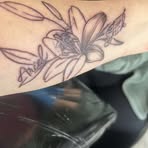 Nicole Blais - Facebook