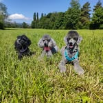 Nicole Blaser - @nic_bla_ - Instagram
