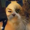 Merisa Nicole Bledsoe - @merisanicolebleds - TikTok