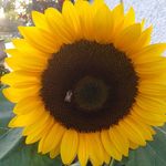 Nicole Bloch - @ni_cole1963 - Instagram