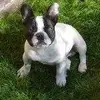 Nicole Bourdon - @nicole.bourdon - TikTok