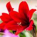 Nicole Bourland - Facebook