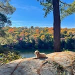 Nicole Boucher Bourque - @nicoleboucherbourque - Instagram