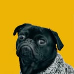 Nicole box - @nicole120068 - Instagram
