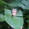 nicoleisbrecht - @nicoleisbrecht - TikTok