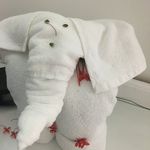 Nicole Brewster - @nkd2000 - Instagram