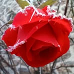 Nicole Brun - Facebook