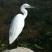Nicole Brun-Buisson - Facebook