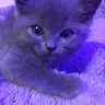 Nicole Burrow - @user846912378 - TikTok