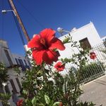 Nicole Busch - @nicole_busch2203 - Instagram