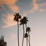 nicole busch - @nkb.etc - Instagram