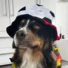 nicole_busch - @nicole_busch - TikTok