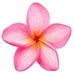 Nicole Callender - Facebook