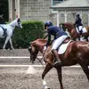 Nicole Castle - @nicole.castle2 - TikTok