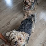 Nicole Cavanagh - @nicolecavanagh2023 - Instagram