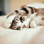 nicole cea inostroza - @chiquits_bn - Instagram