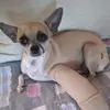 Nicole cedillo - @nicole.cedillo2 - TikTok