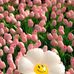 Nicole Celso - Facebook