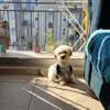 Nicole Cerda - @nicole.cerda - TikTok