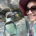 Nicole Chaplin - @nicolechaplin91 - Instagram