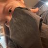 Nicole Chea - @nicolechea16 - TikTok