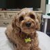 Nicole Chea - Facebook