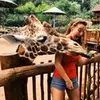 nicole_clair_ - @nicole_clair_ - TikTok