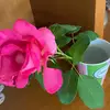 Nicole - @nicoleclair6 - TikTok