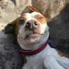 nicole clancy - @puppyluvr78 - TikTok